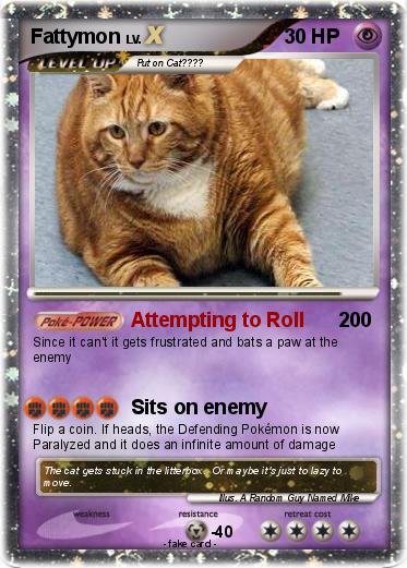 Pokemon Fattymon