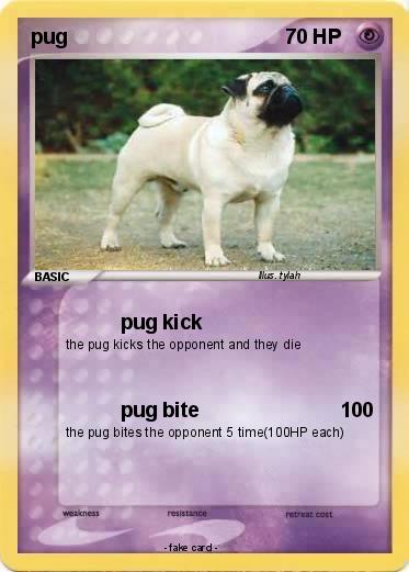 Pokemon pug