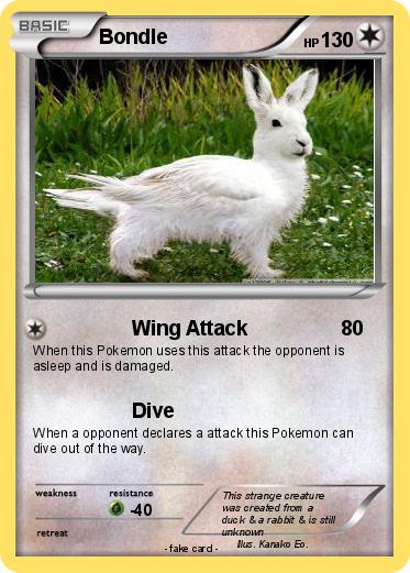 Pokemon Bondle