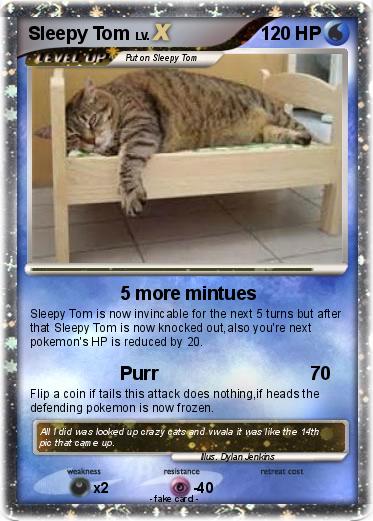 Pokemon Sleepy Tom