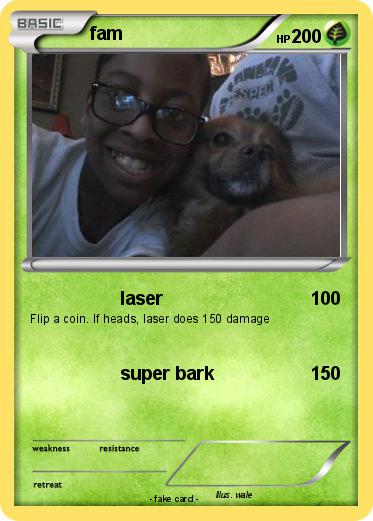Pokemon fam