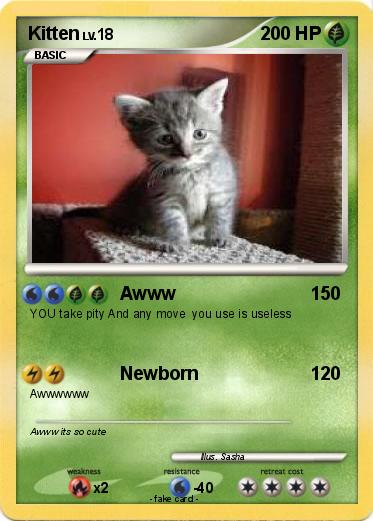 Pokemon Kitten