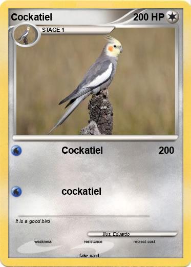 Pokemon Cockatiel