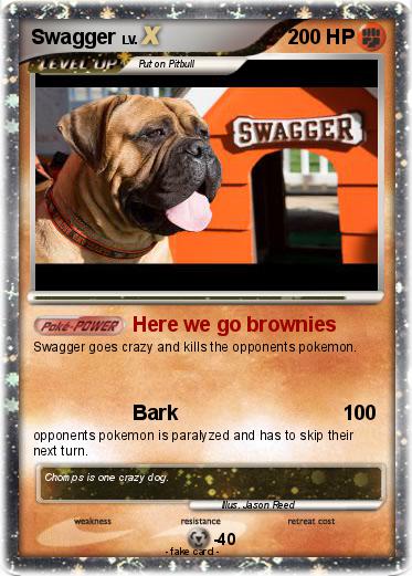 Pokemon Swagger