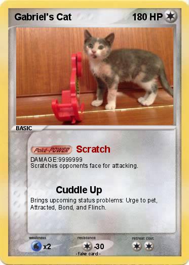 Pokemon Gabriel's Cat