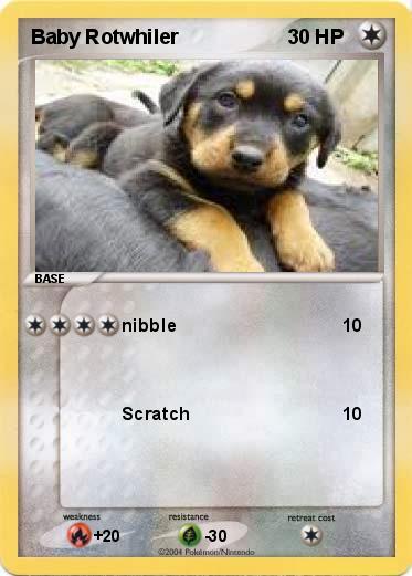Pokemon Baby Rotwhiler 