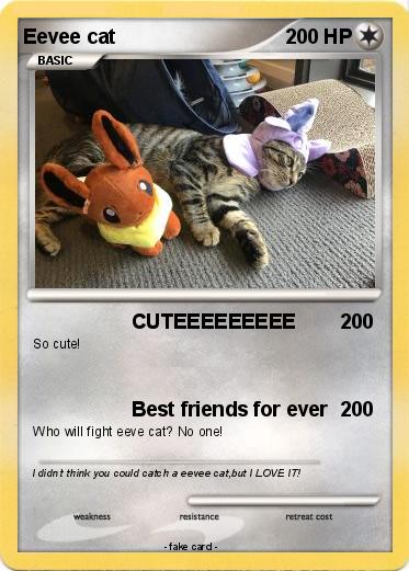 Pokemon Eevee cat