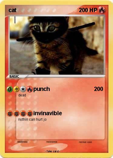 Pokemon cat