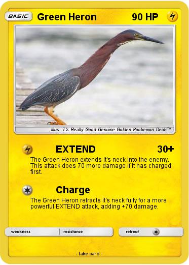 Pokemon Green Heron