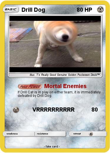 Pokemon Drill Dog