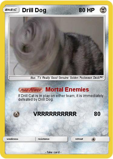 Pokemon Drill Dog