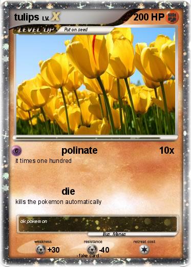 Pokemon tulips