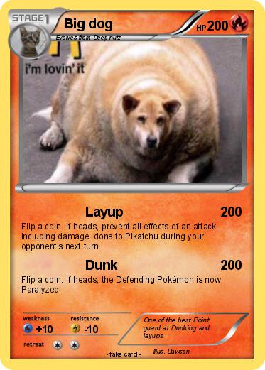 Pokemon Big dog