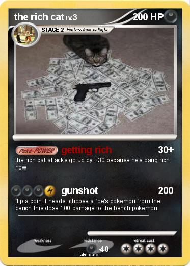 Pokemon the rich cat