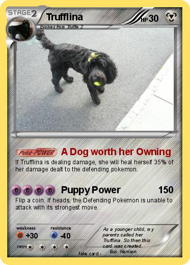 Pokemon Trufflina