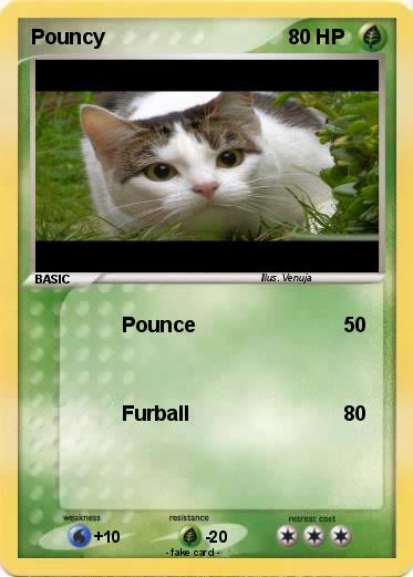 Pokemon Pouncy