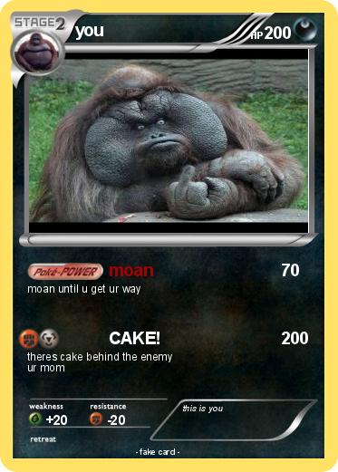 Pokemon you