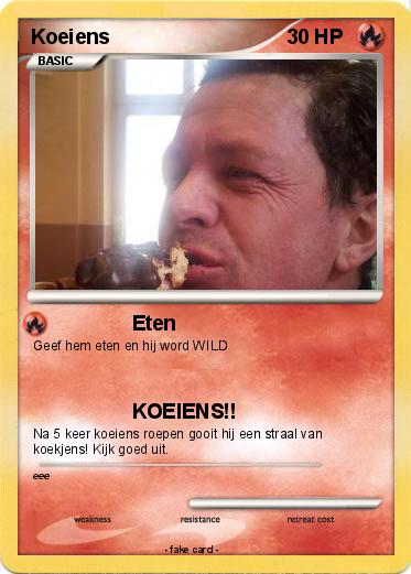 Pokemon Koeiens