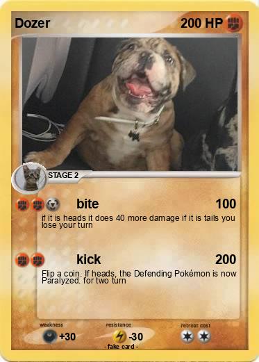 Pokemon Dozer