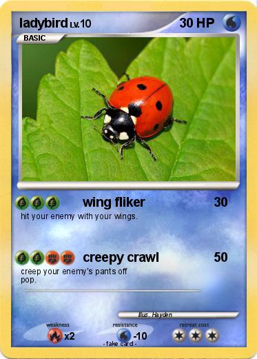 Pokemon ladybird