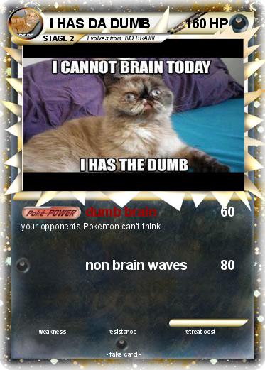 Pokemon I HAS DA DUMB