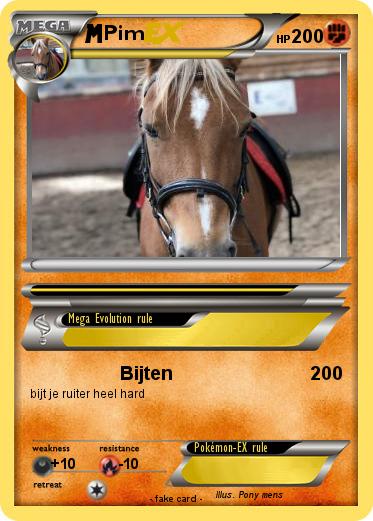 Pokemon Pim