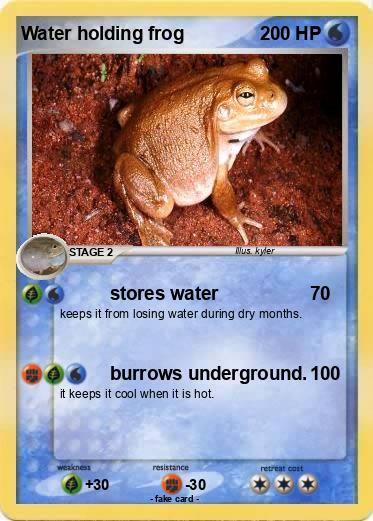 Pokemon Water holding frog
