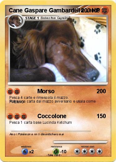 Pokemon Cane Gaspare Gambardella