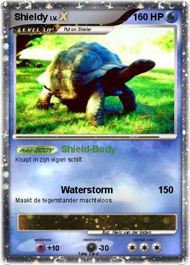 Pokemon Shieldy