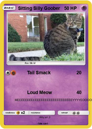 Pokemon Sitting Silly Goober