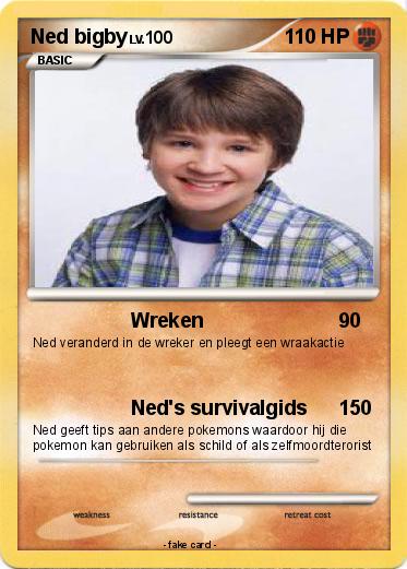 Pokemon Ned bigby
