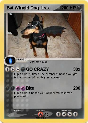 Pokemon Bat Wingid Dog  Lv.x