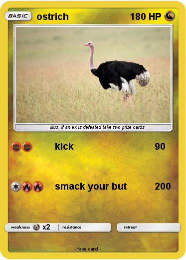 Pokemon ostrich
