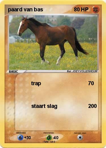 Pokemon paard van bas