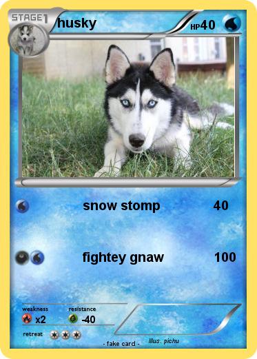 Pokemon husky