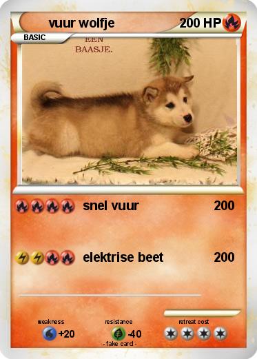 Pokemon vuur wolfje