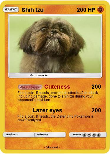 Pokemon Shih tzu
