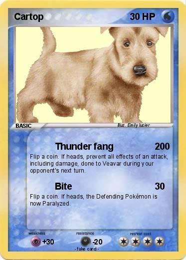 Pokemon Cartop