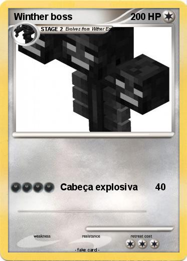 Pokemon Winther boss