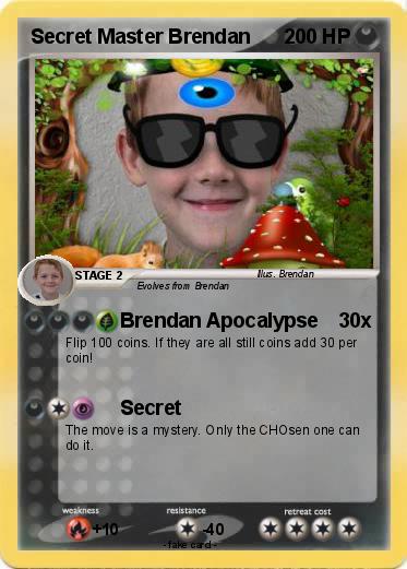 Pokemon Secret Master Brendan