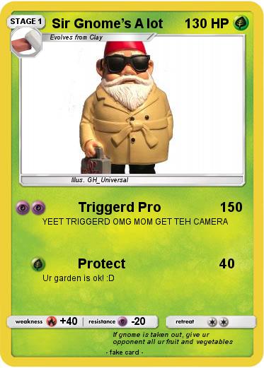 Pokemon Sir Gnome’s A lot
