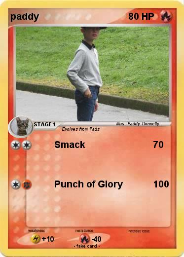 Pokemon paddy