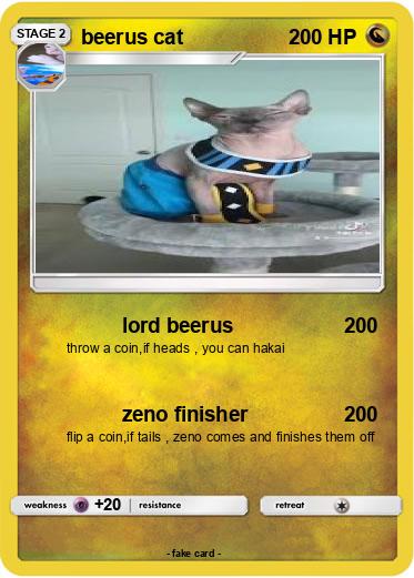 Pokemon beerus cat