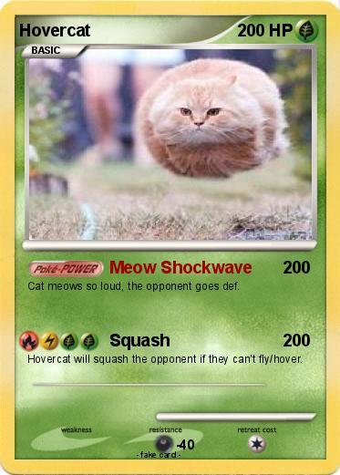 Pokemon Hovercat