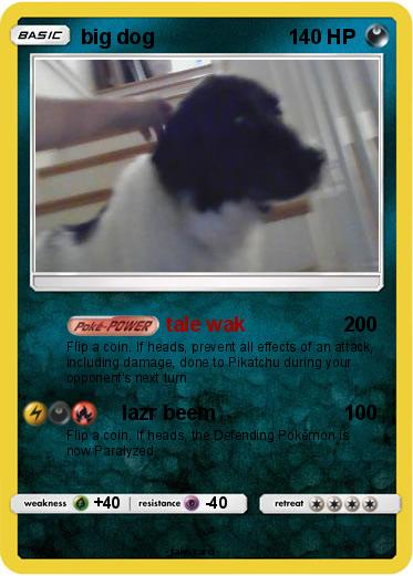 Pokemon big dog