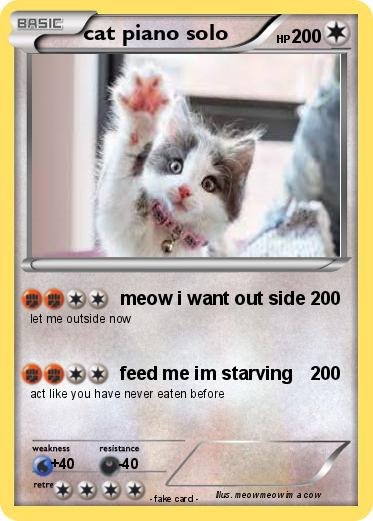 Pokemon cat piano solo