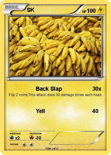 Pokemon SK