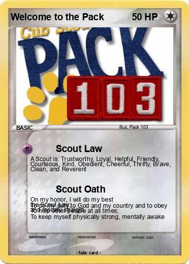 Pokemon Welcome to the Pack