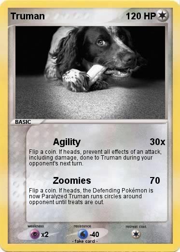 Pokemon Truman