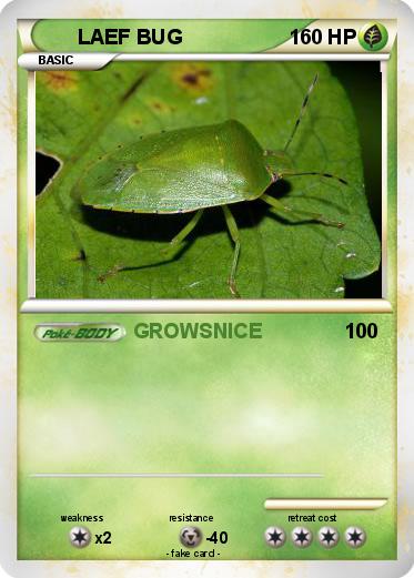 Pokemon LAEF BUG
